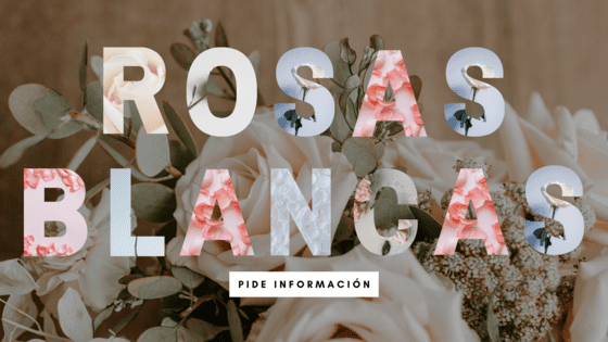 10 conmovedoras frases para expresar el dolor de echar de menos a alguien 10 conmovedoras frases para expresar el dolor de echar de menos a alguien