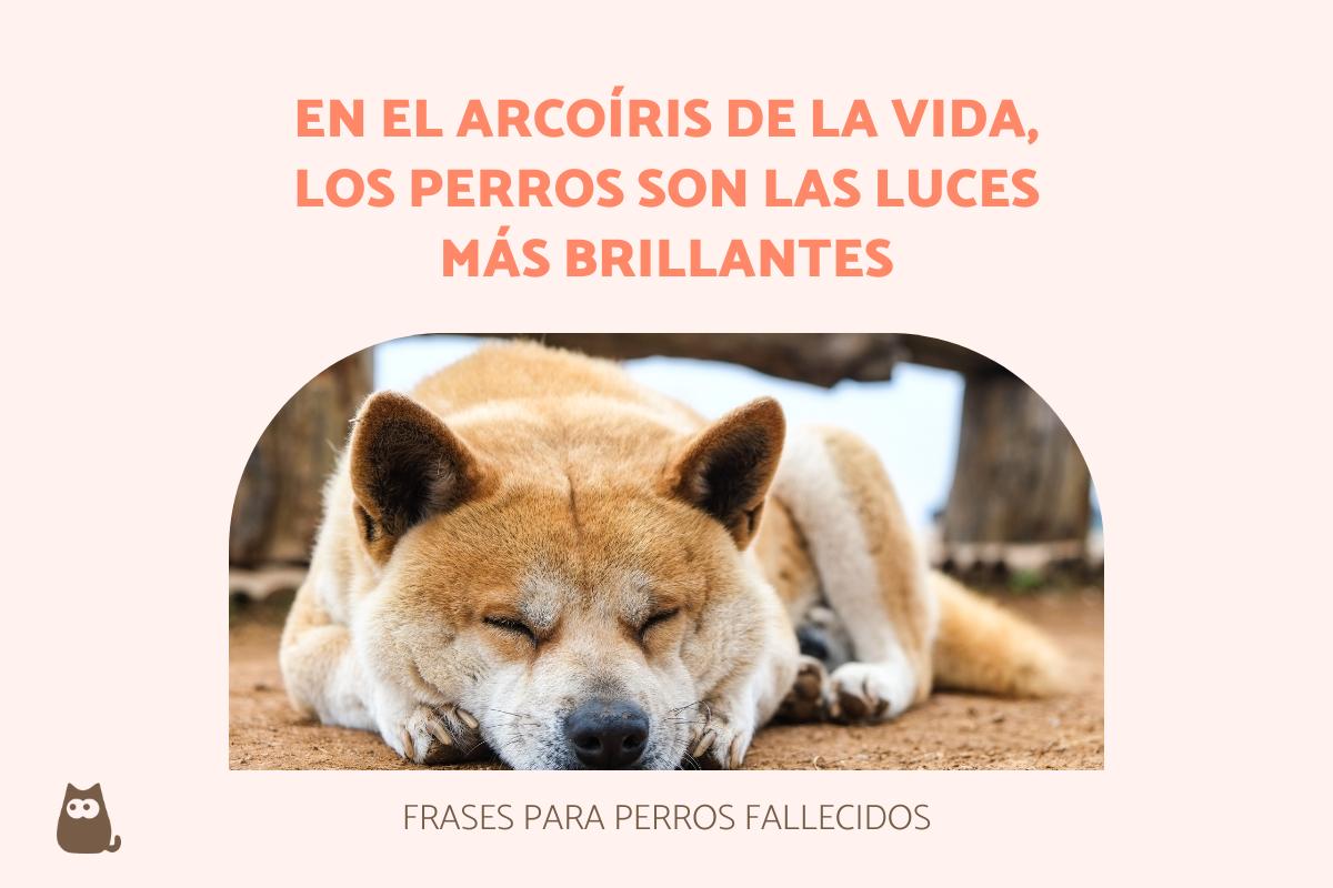 10 Frases emocionales para expresar cuánto extraño a mi amigo 10 Frases emocionales para expresar cuánto extraño a mi amigo
