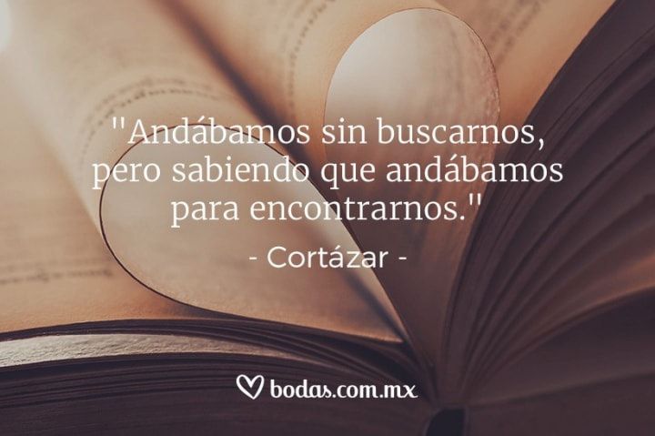 10 Frases Inspiradoras que te Recordarán que los Sueños están Hechos para Cumplirse