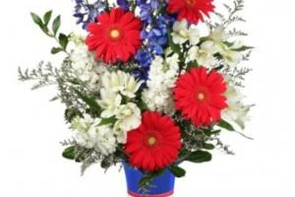 10 hermosas plantas para obsequiar a una madre y alegrar su día 10 hermosas plantas para obsequiar a una madre y alegrar su día