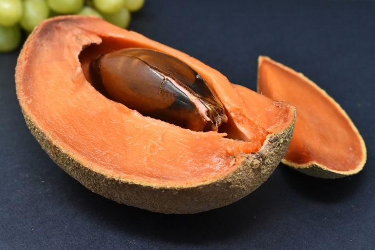 Aprende paso a paso cómo sembrar la semilla de mamey y cultivar tu propio árbol Aprende paso a paso cómo sembrar la semilla de mamey y cultivar tu propio árbol