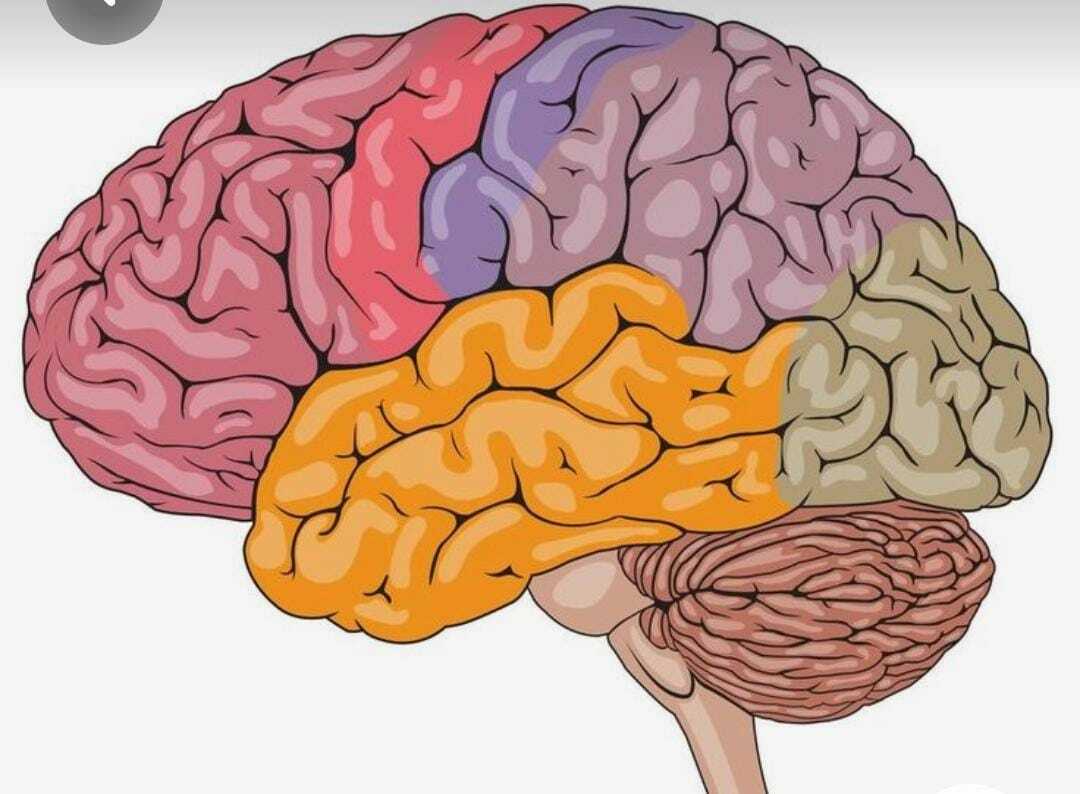 Conoce tu verdadera emoción humana con este sencillo test Conoce tu verdadera emoción humana con este sencillo test