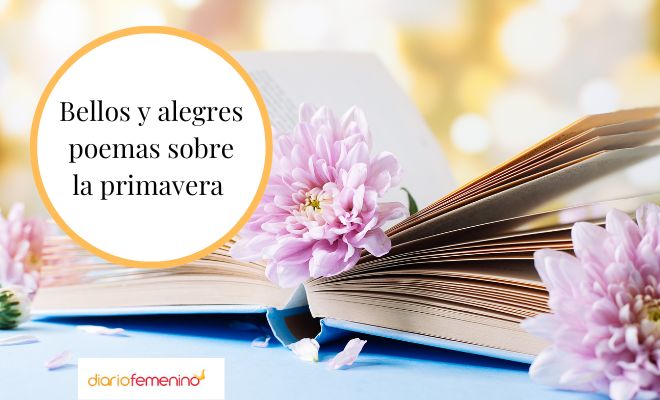 Despierta la magia: Frases del niño interior que te inspirarán Despierta la magia: Frases del niño interior que te inspirarán