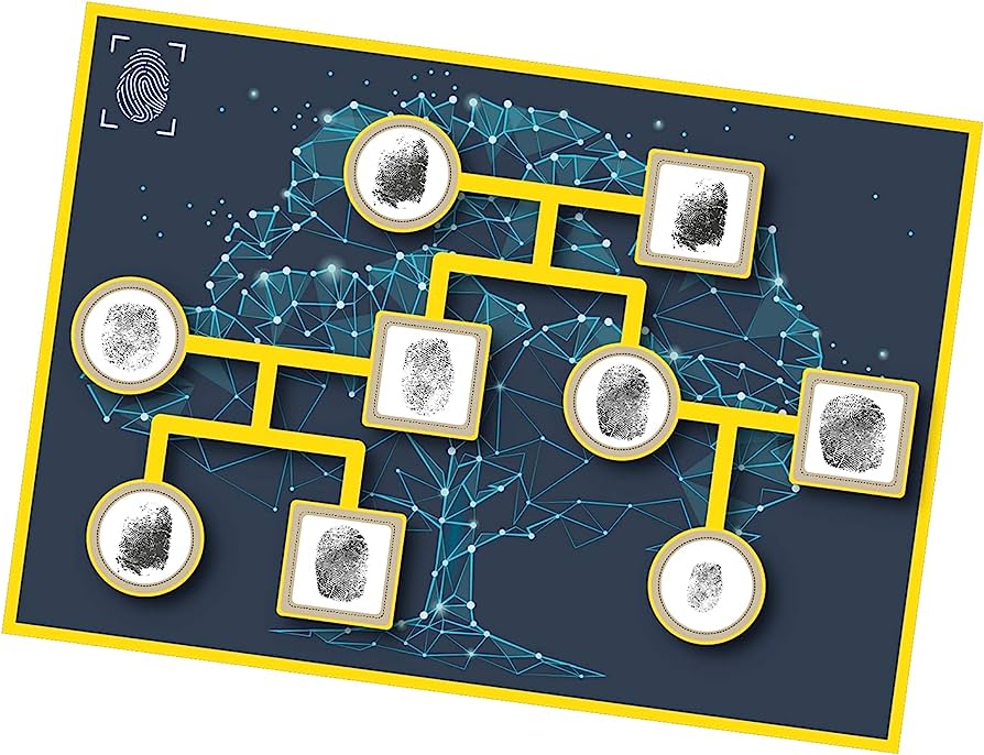 Ejemplos de algoritmos en la vida diaria: ¡Descúbrelos aquí!