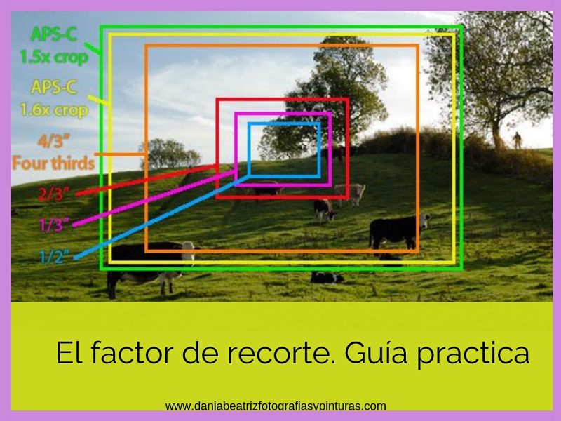 Ejemplos de árbol de decisión: Guía práctica