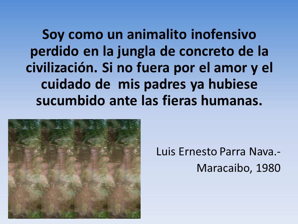 El misterioso mensaje que una mariposa envía al posarse en ti