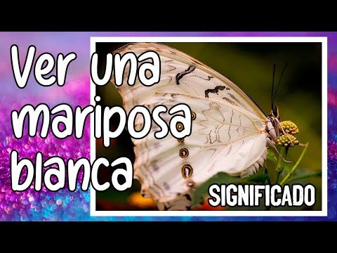 El profundo significado espiritual detrás de la mariposa amarilla: una guía fascinante