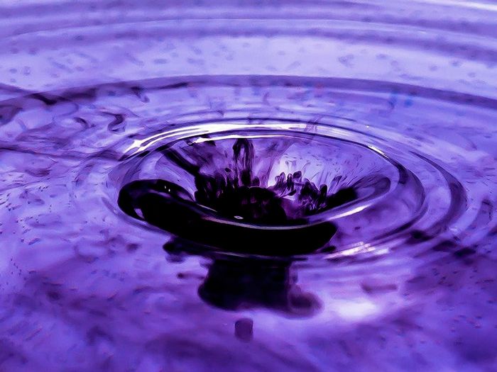 El significado místico de las flores moradas: una guía completa