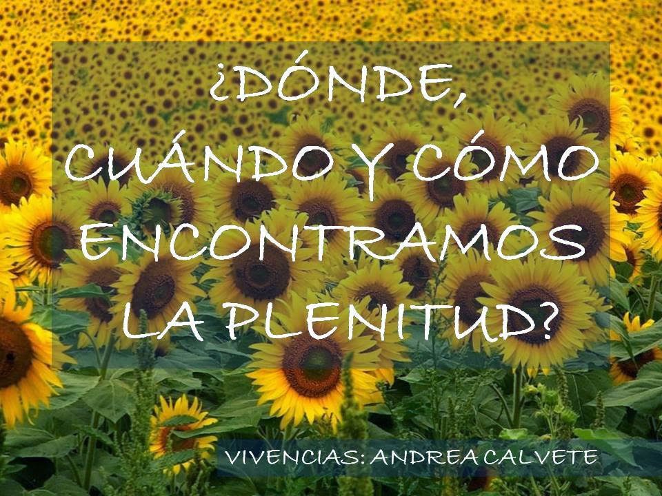 Encuentra la plenitud sin buscar tu media naranja Encuentra la plenitud sin buscar tu media naranja