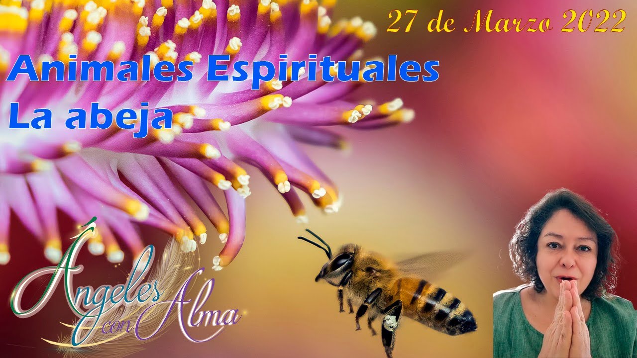 Explorando el profundo significado espiritual de las abejas