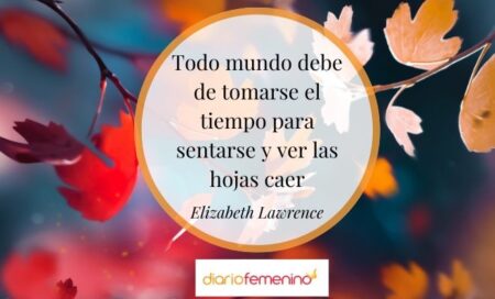 Las mejores frases célebres para noviembre: ¡inspiración garantizada!