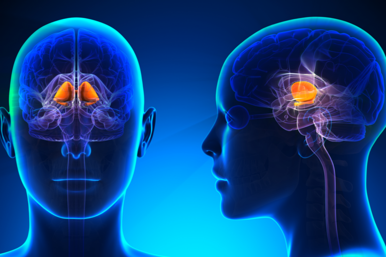 Frases de la insoportable levedad del ser: Descubre su profundo significado Frases de la insoportable levedad del ser: Descubre su profundo significado