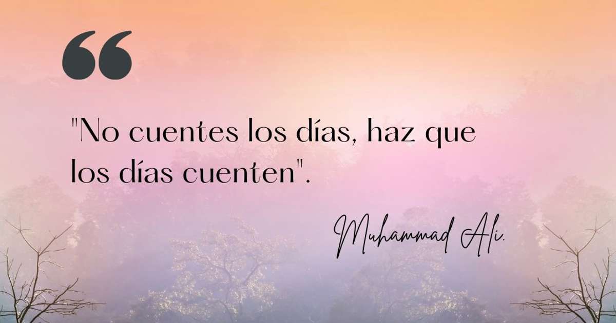 Frases para hacer las cosas bien: Inspiración y motivación