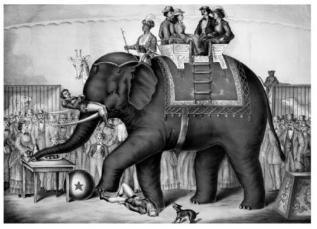 La fascinante belleza de la flor Pata de Elefante: todo lo que necesitas saber La fascinante belleza de la flor Pata de Elefante: todo lo que necesitas saber