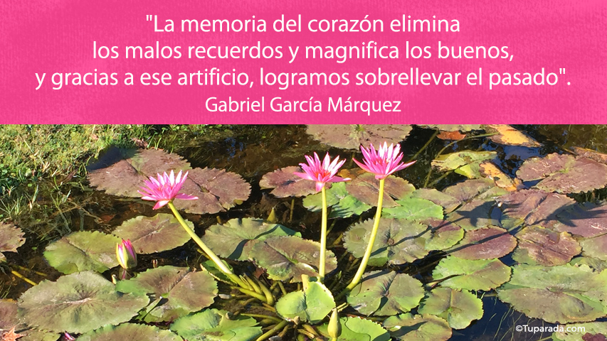 La gratitud: la memoria del corazón