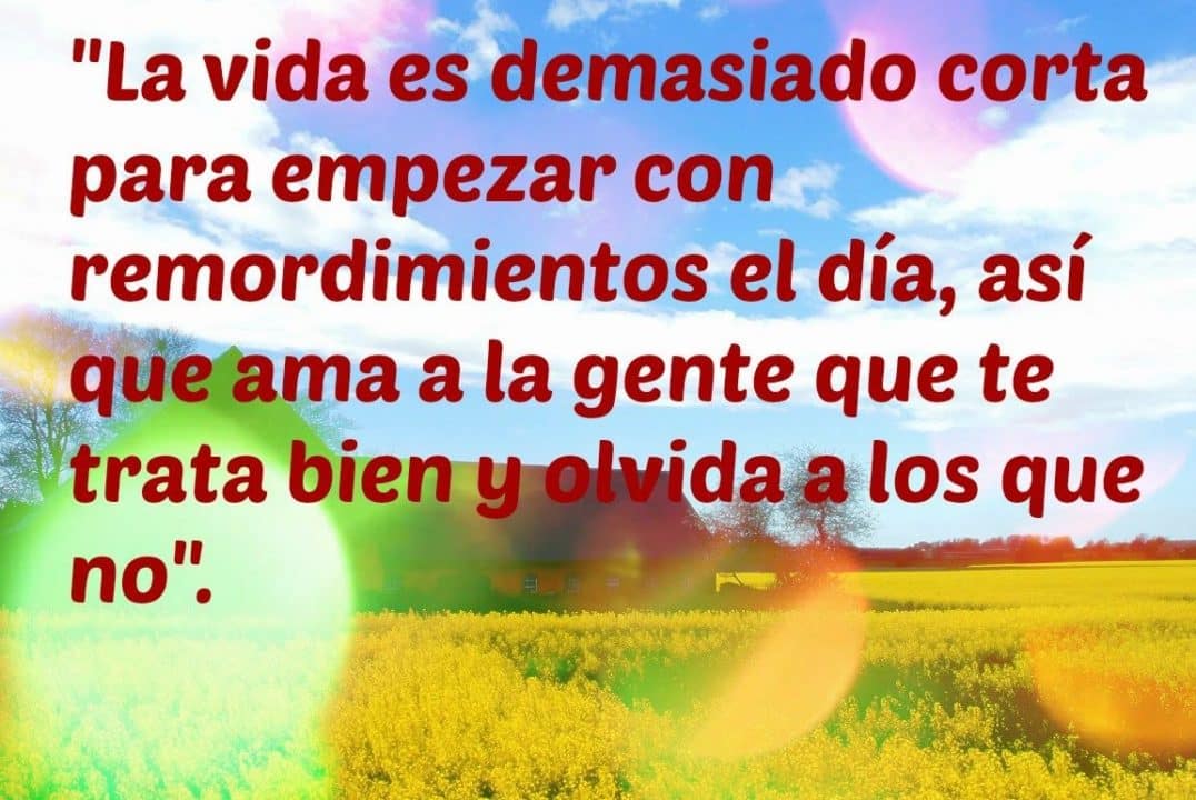 La vida es demasiado corta para desperdiciarla La vida es demasiado corta para desperdiciarla