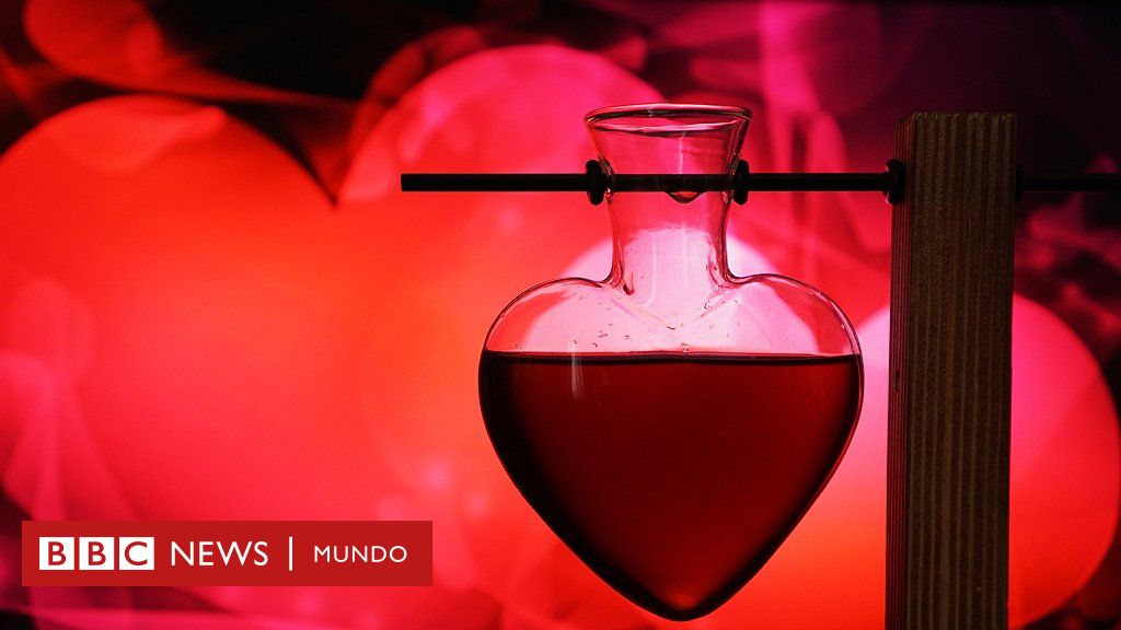 Le tengo cariño pero no estoy enamorada: Descubre cómo manejar tus sentimientos Le tengo cariño pero no estoy enamorada: Descubre cómo manejar tus sentimientos