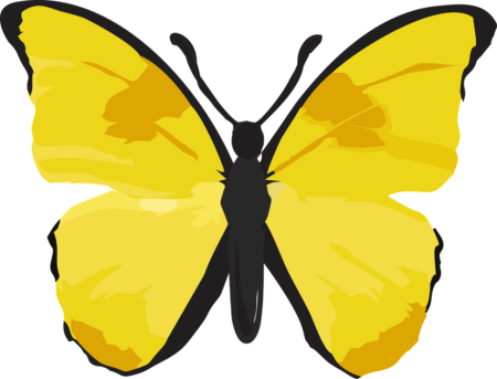 El impacto espiritual de avistar una mariposa amarilla