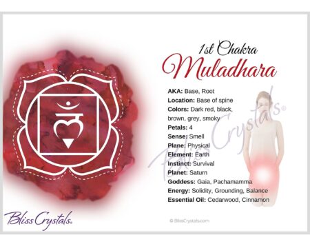 Activación del primer chakra: guía completa del chakra raíz (Muladhara)
