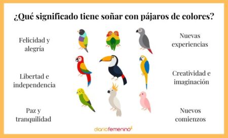 El simbolismo de un pájaro en tu hogar: ¡Descúbrelo aquí!