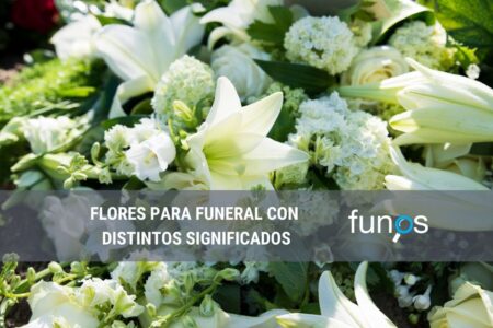 Significado espiritual de la flor bugambilia: descubre su simbolismo profundo