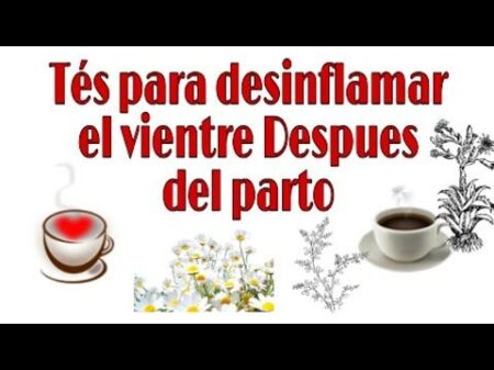 5 tés efectivos para limpiar el útero naturalmente