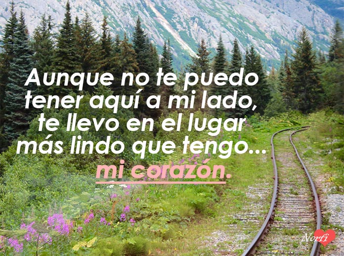 Te quiero y te necesito a mi lado: El amor que no puede faltar
