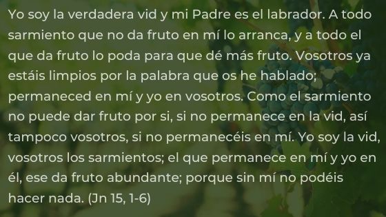Versos que inspiran: Poemas de humildad y sencillez para alimentar el alma Versos que inspiran: Poemas de humildad y sencillez para alimentar el alma